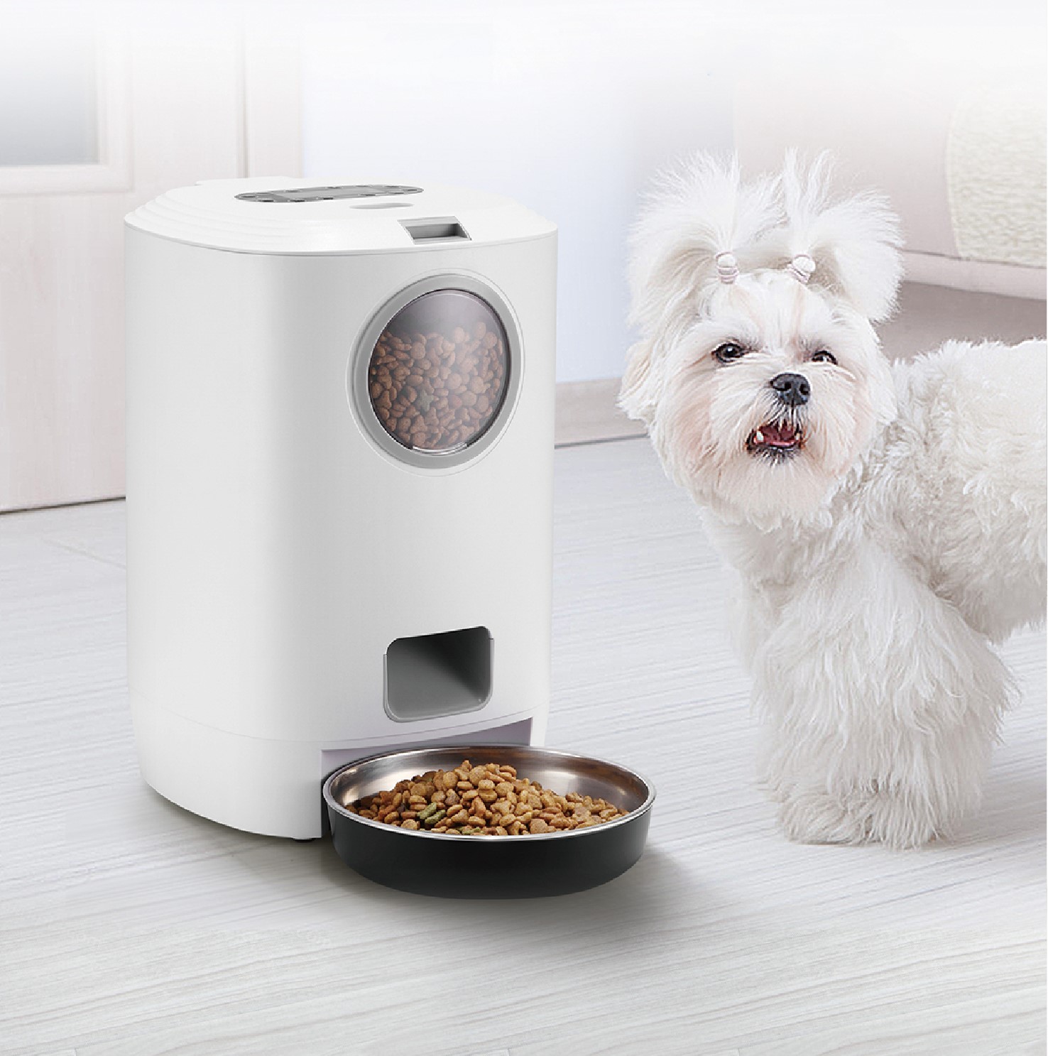 Auto Pet Feeders